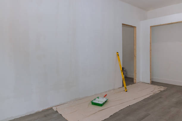 Best Forensic Mold Investigation  in Southworth, WA